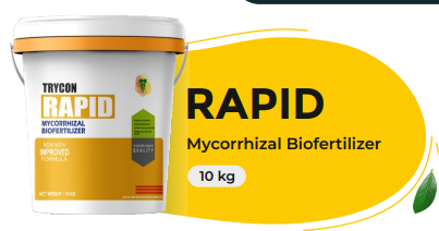 RAPID (Mycorrhizal Biofertilizer)