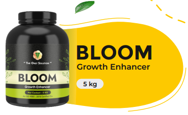 BLOOM