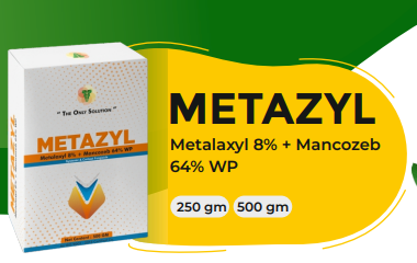 METAZT (Metalaxyl 8% + Mancozeb 64% WP)