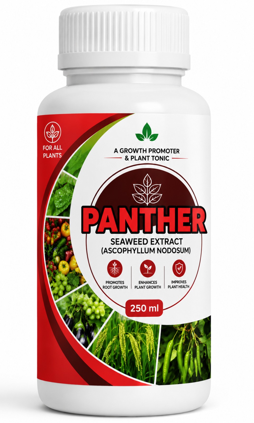 PANTHER