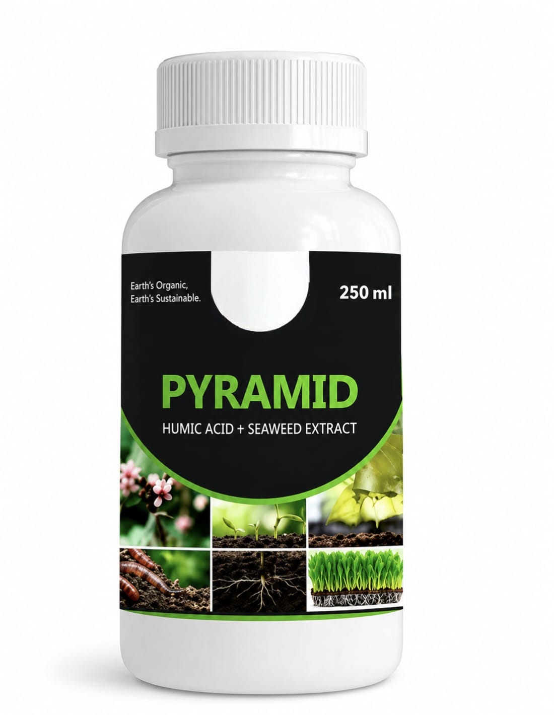 PYRAMID